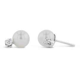 Cultured 14k White Gold Cultured Pearl Earrings 1/8 ct. tw.