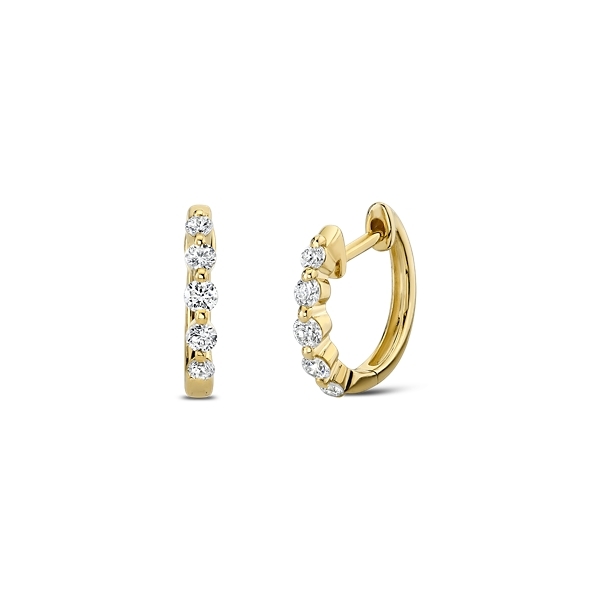 14k Yellow Gold Diamond Earrings 1/4 ct. tw.